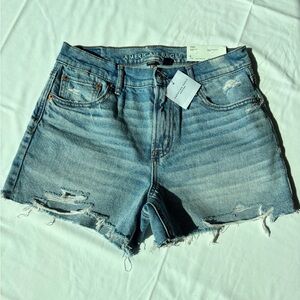 American Eagle Outfitters Light Blue Distressed Jean Shorts